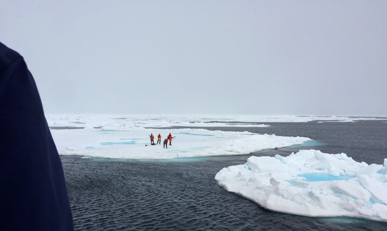 Scientists on the ice - Sentinel North international phd school