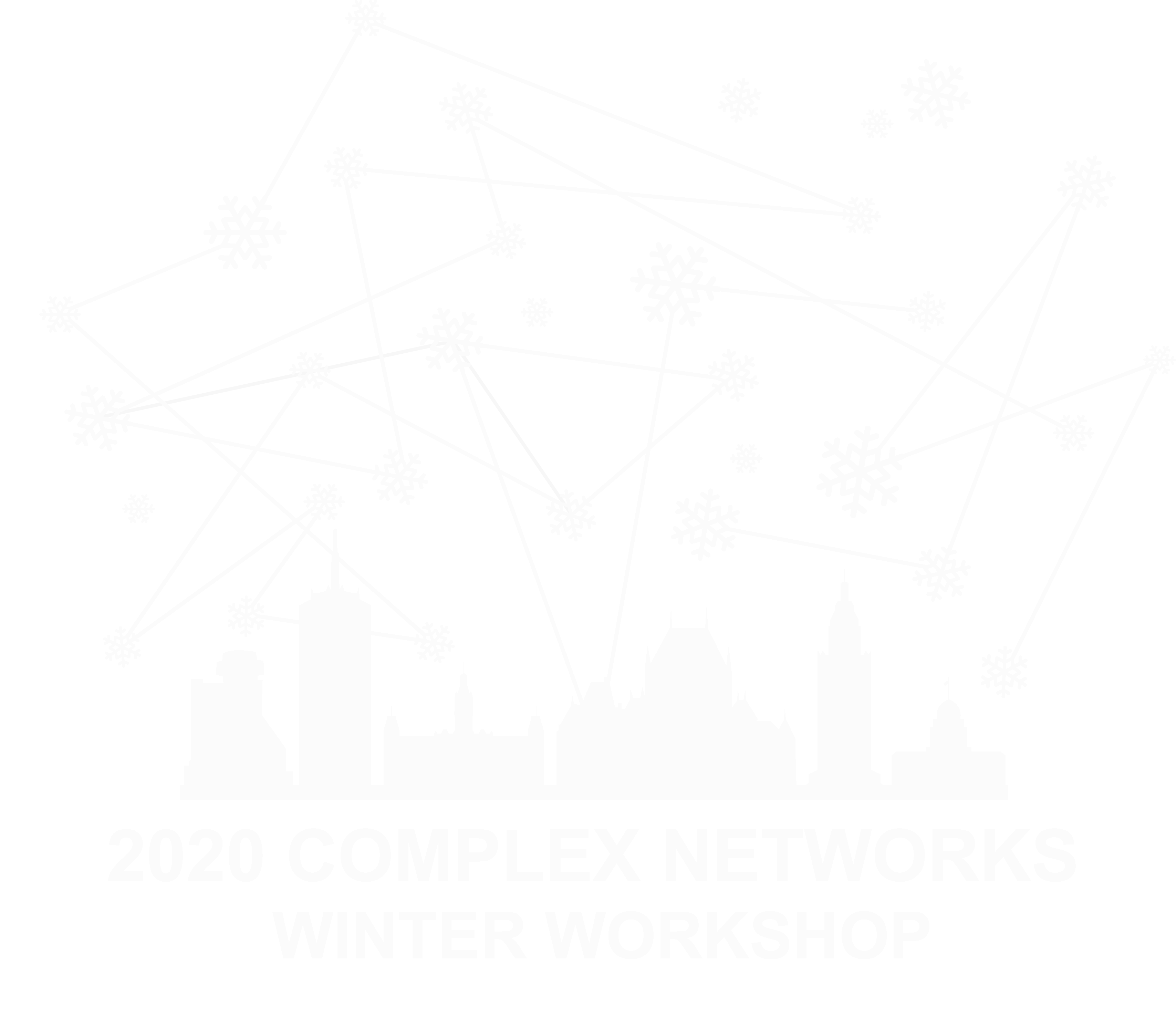 école internationale sur les réseaux complexes 2020 sentinelle nord 